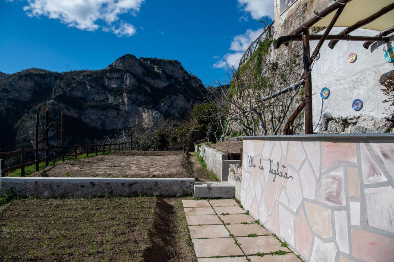 Villa La Tagliata Spectacular Jacuzzi Tub Amazing View And Private Parking Garage ポジターノ エクステリア 写真
